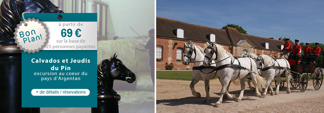 Visite du Haras du Pin