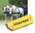 balade en attelage dans le perche