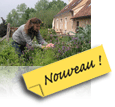 cueillette et gastronomie v�g�tale