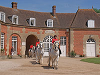 Voyages groupes au Haras national du Pin